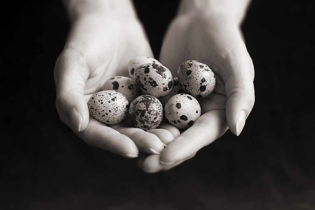 Chris Pearsall Photography are corporate and PR photographers based near Portsmouth, undertaking commissions throughout the UK